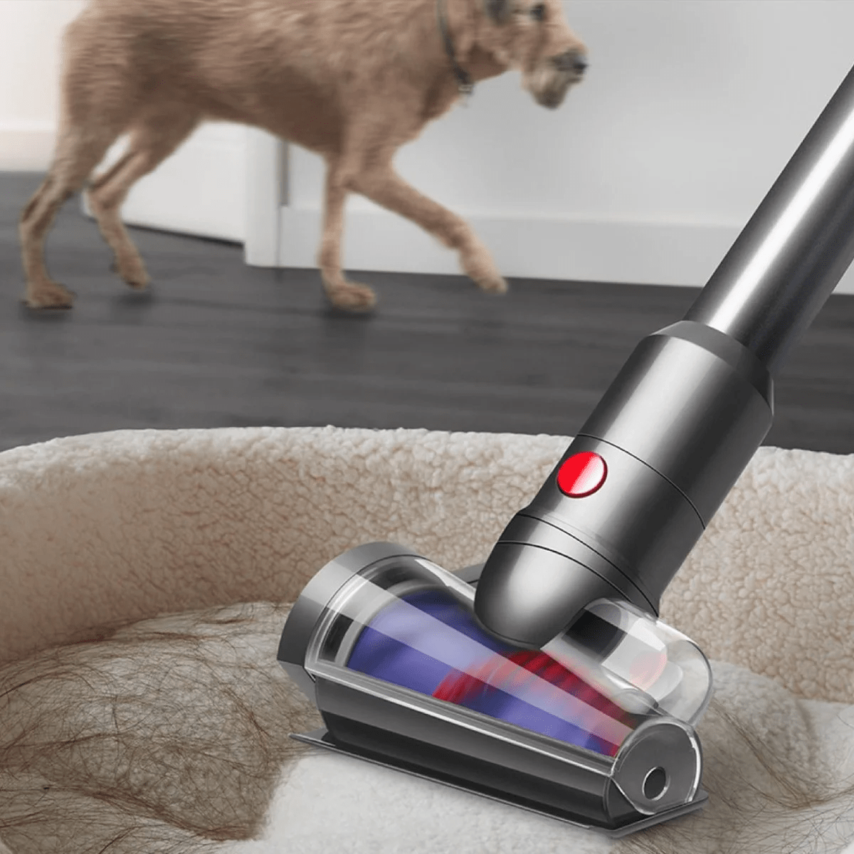 Dyson Vacuum Cleaner V12s Detect Slim Submarine (2025) - Bee Store